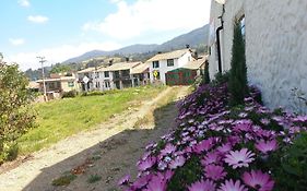 Hospedaje y Camping del Rio
